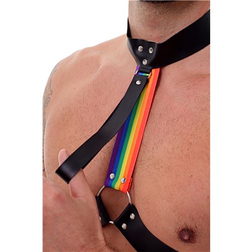 PECHERA LGBT CON COLLAR Y CORREA REGULABLE